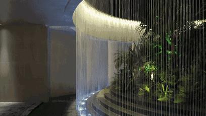 当景观遇上设计,当景观植物遇见灯光