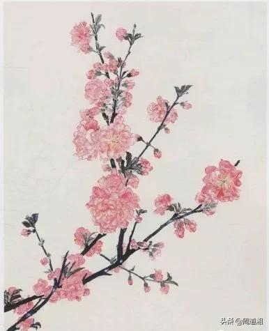 100幅桃花画,怎么画桃花树林