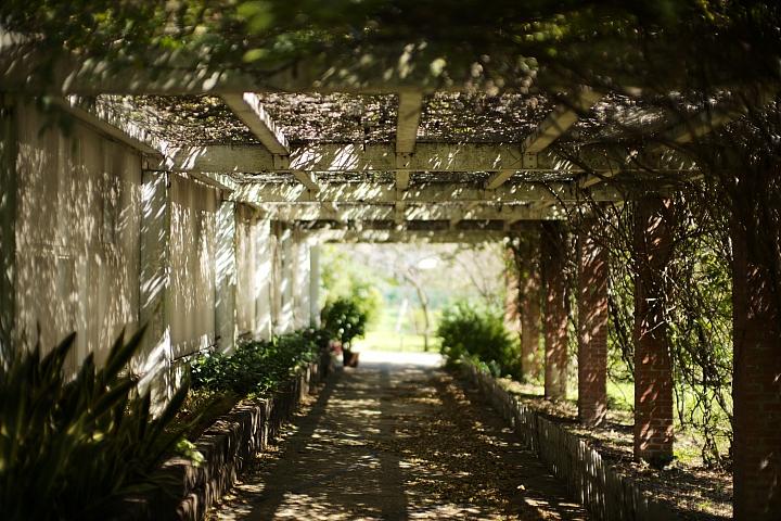 反璞归真2.0,反璞归真005