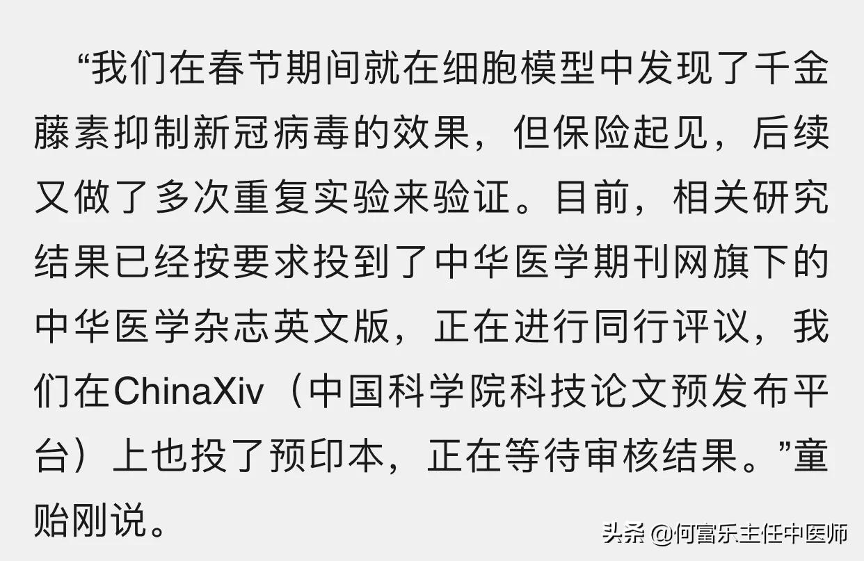 千金藤素消息,千金藤素澄清