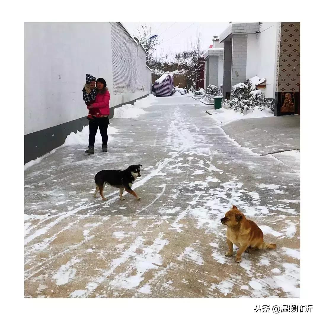 雪后的临沭小城，美得令人窒息