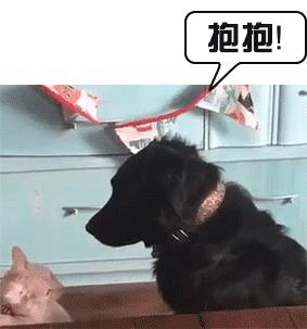 医生建议养猫治愈抑郁症,抑郁症养猫还是养狗好