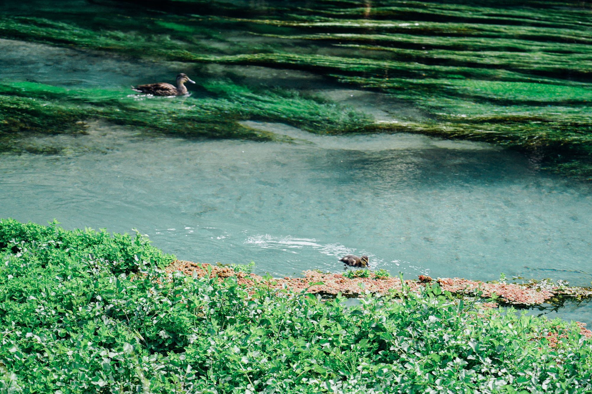 为什么说新西兰是纯净的,新西兰北岛有值得去的地方吗