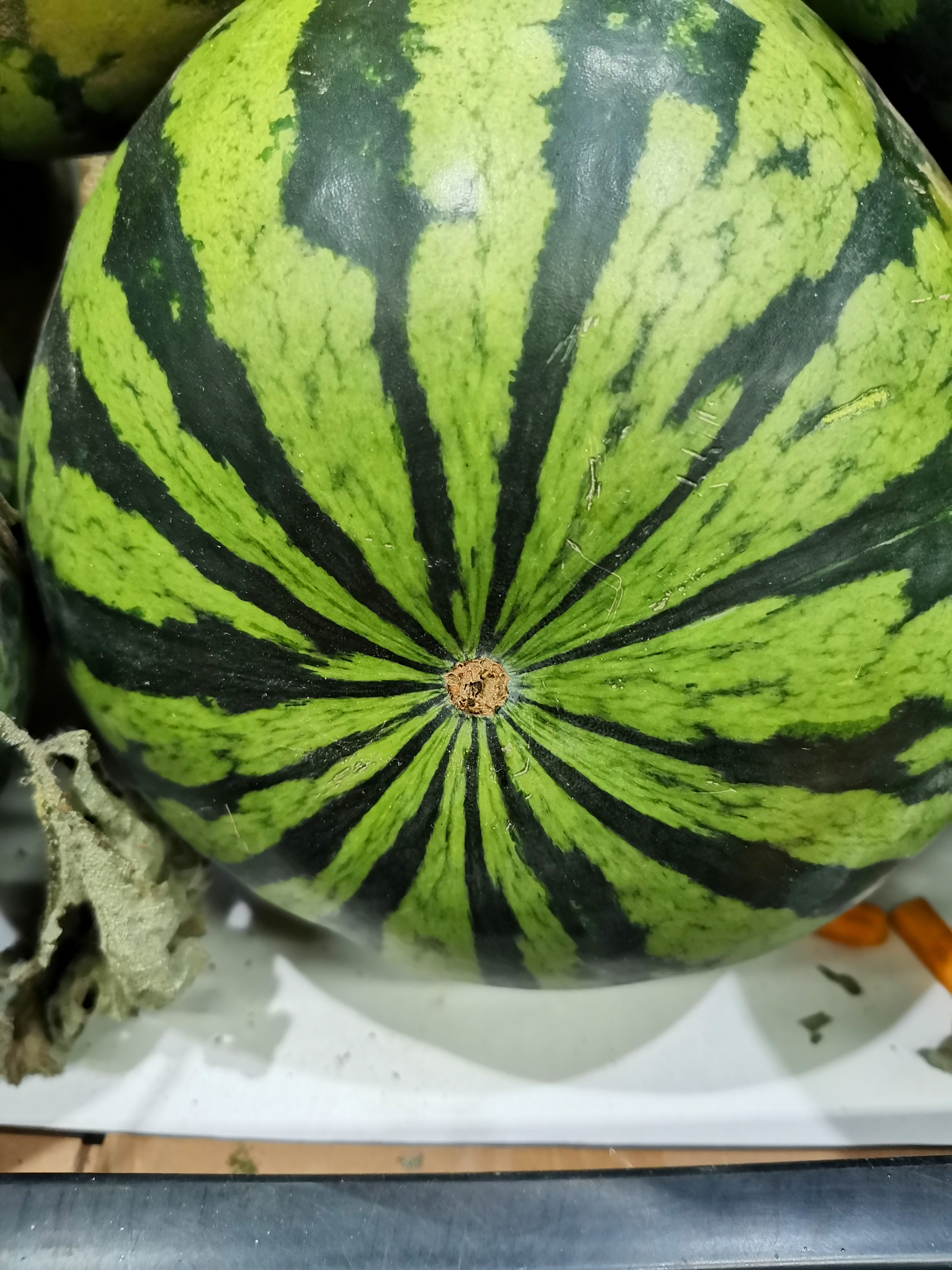 果农教你挑西瓜,瓜农教你地里挑西瓜技巧