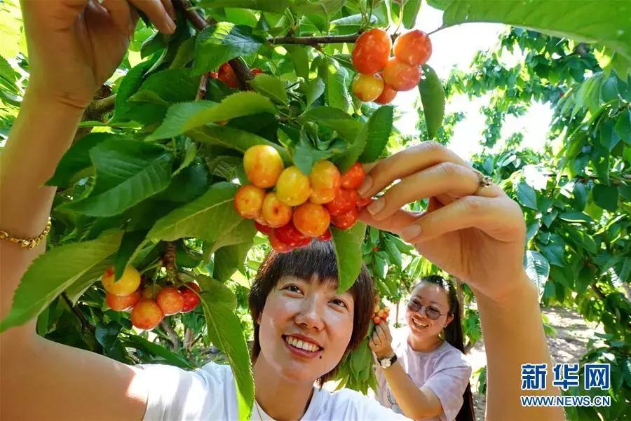 有颜值有气质才是乡村的新模样,既有颜值又有气质