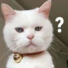 没搞懂这几点,howmuch和howmany怎么区分