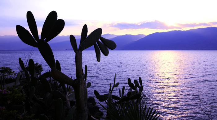 云南小众舒适的古城,云南小资街