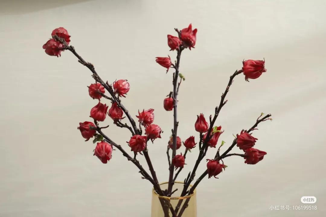 50种花材大全,常用鲜切花品种及图片