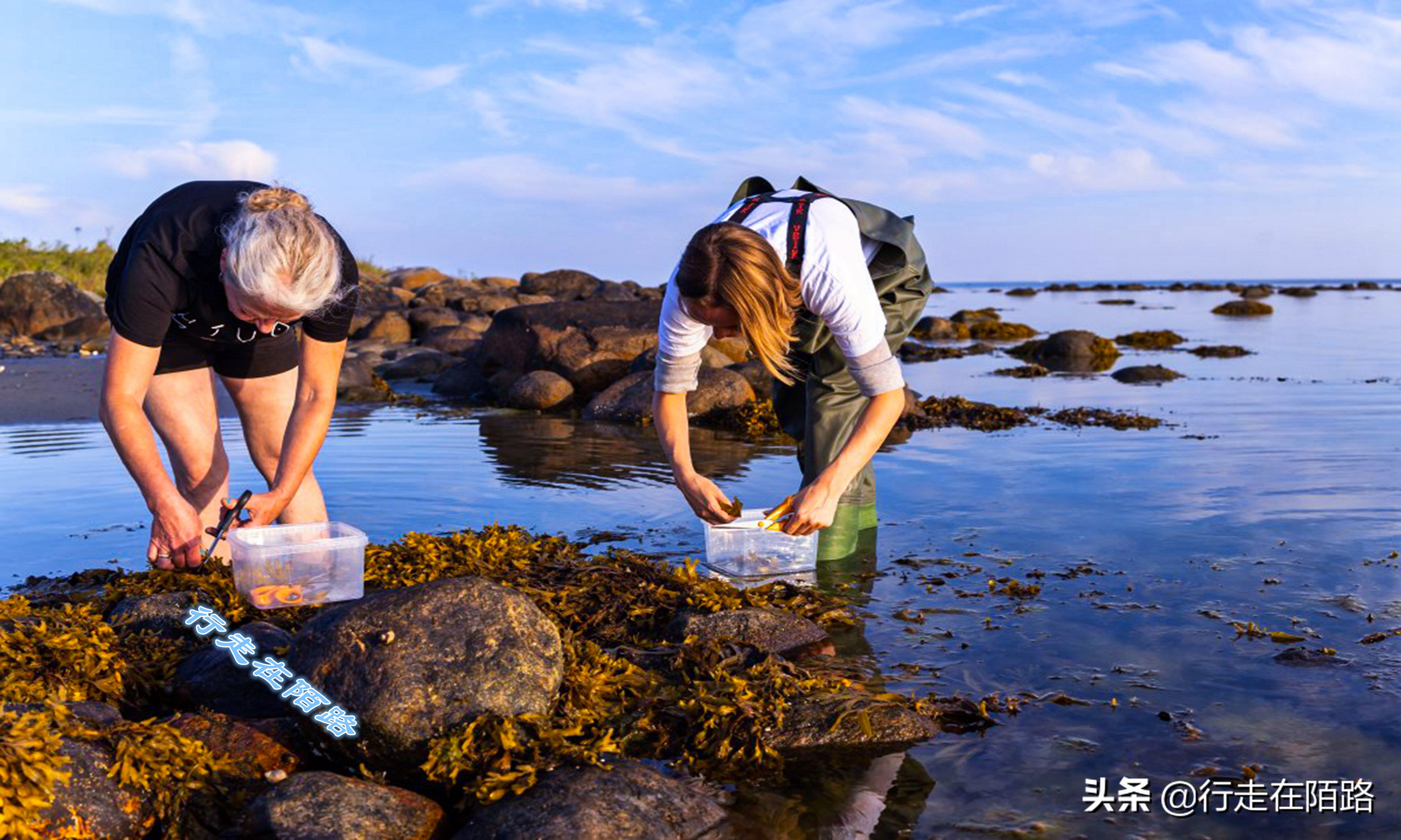 最廉价的房子,最廉价的房子建造