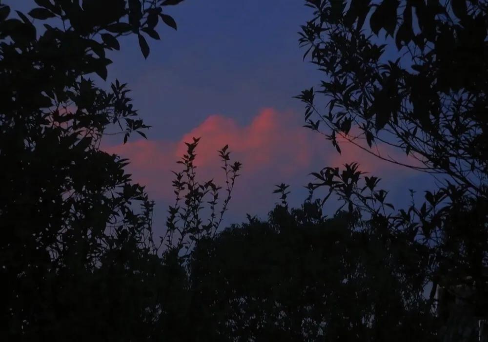 谈恋爱该不该收男生的礼物,谈恋爱该不该送男朋友礼物