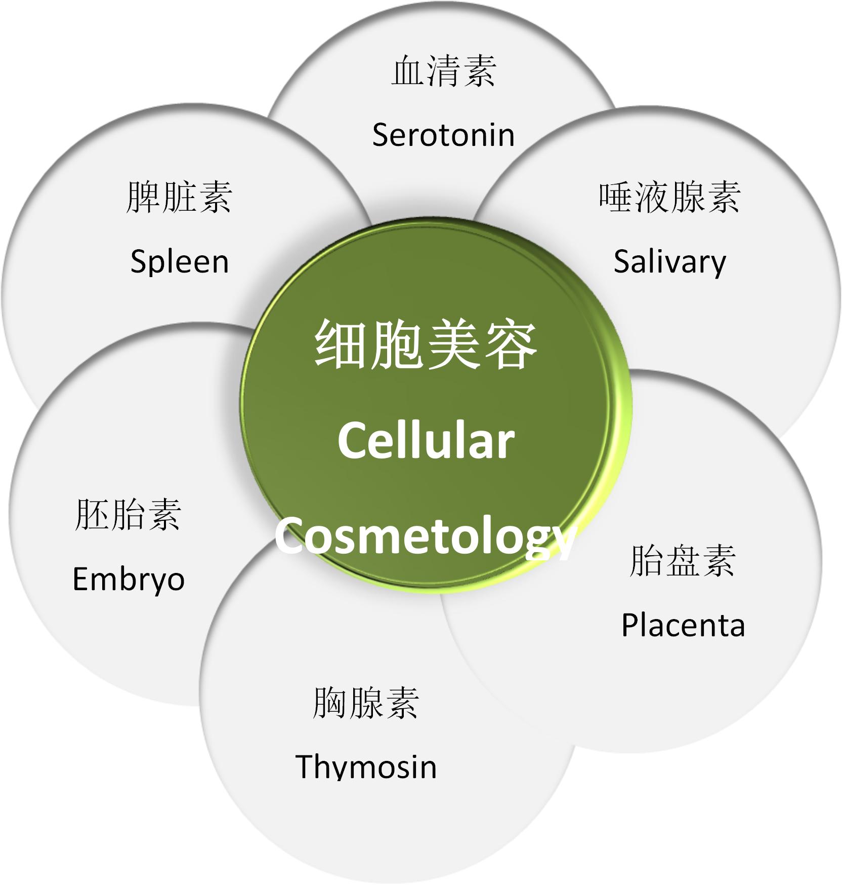 细胞美容学之父——张红凯博士