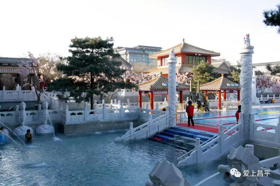 半价温泉票,暖冬特惠温泉票