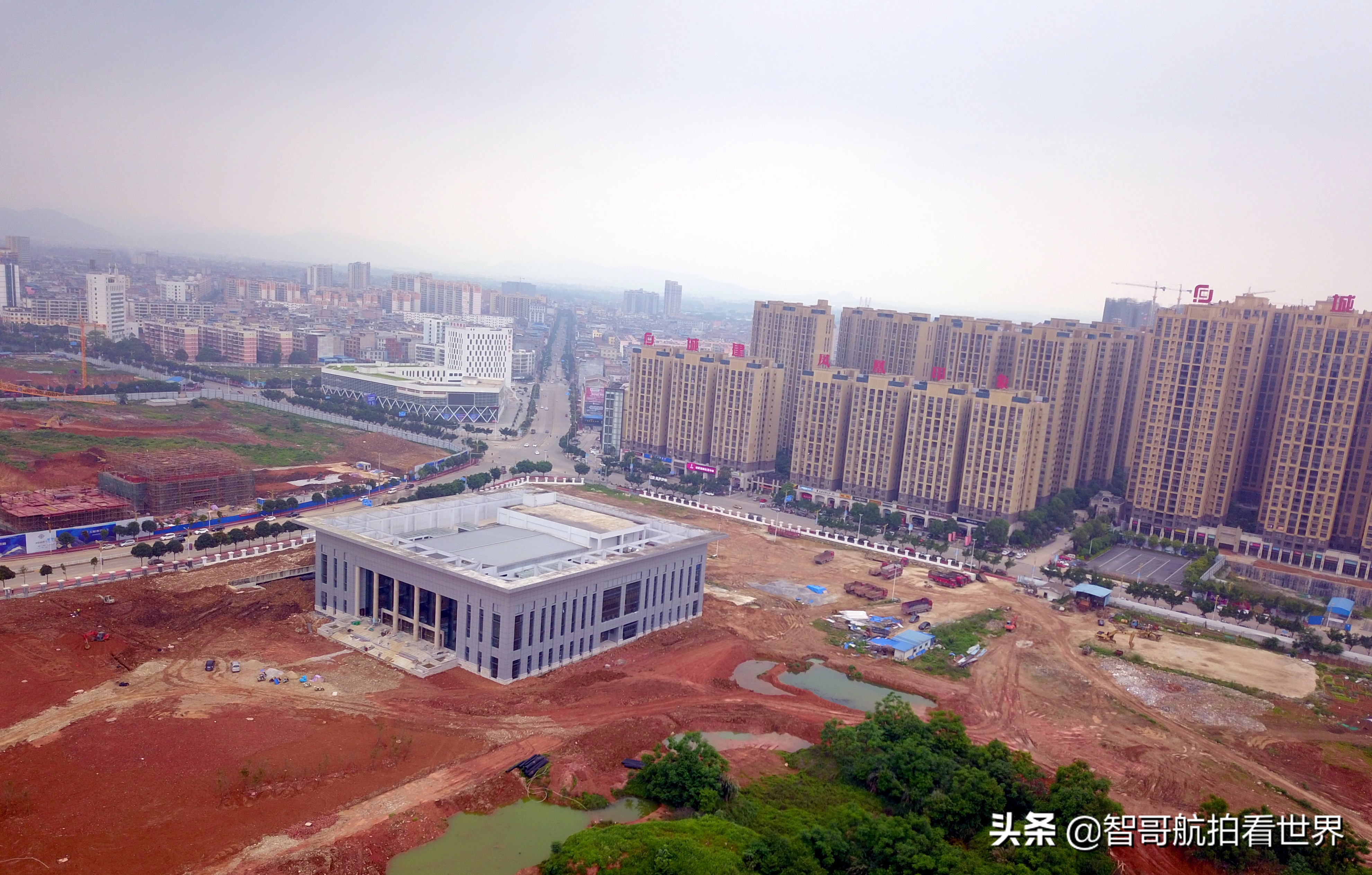 广西宾阳炮龙乡视频,宾阳炮龙之乡新闻