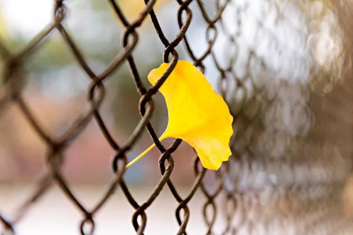 郑州漂亮的秋色风景,郑州的这些湖畔藏着最美的秋色