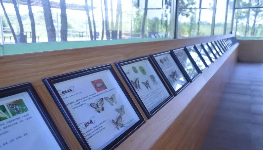 春日活动来袭秒杀团购等你来,韶关香草世界森林公园小木屋