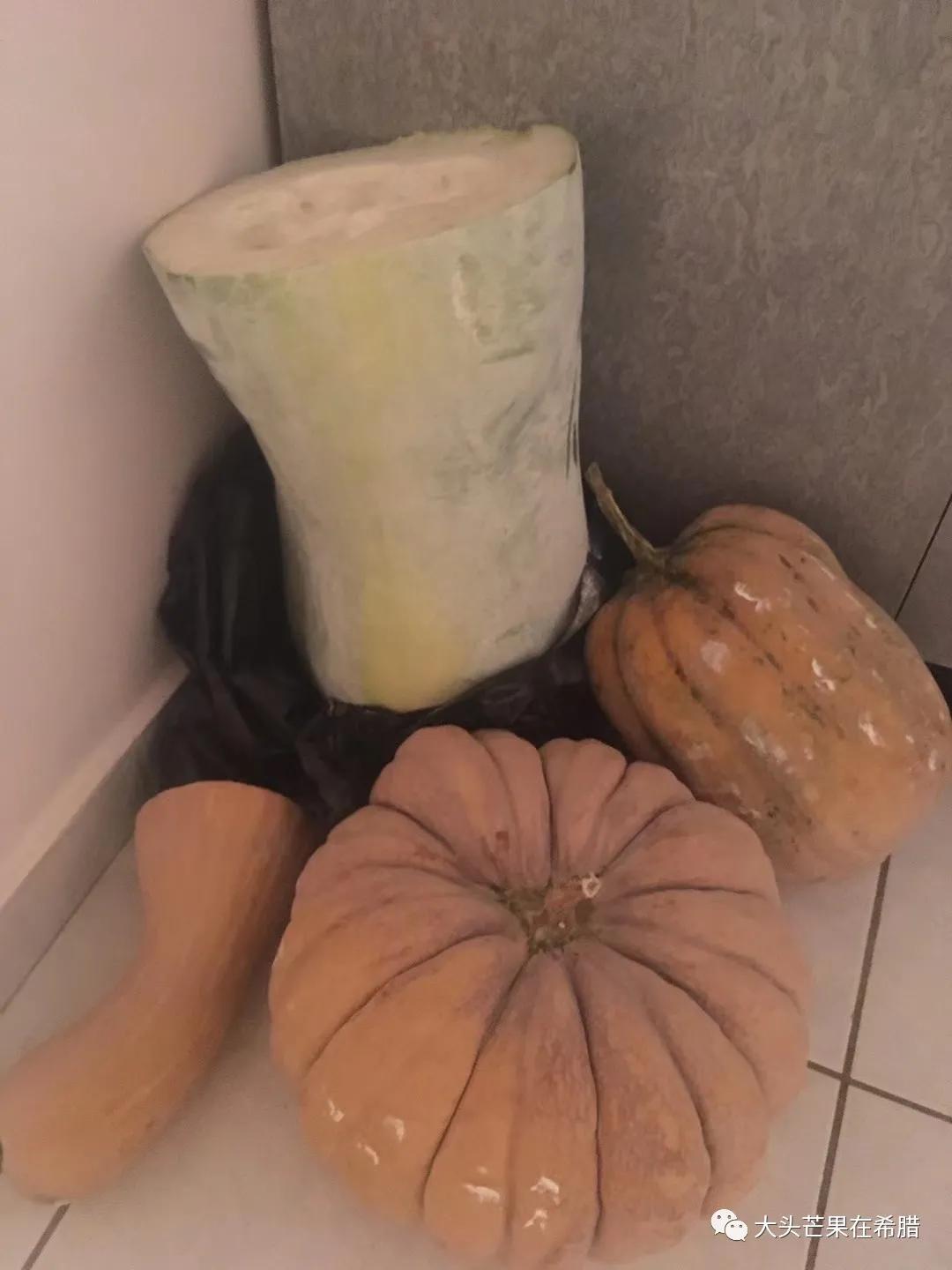 野生鱿鱼,真好吃!续卡、代交保险和报税、跑移民局,最近忙疯了