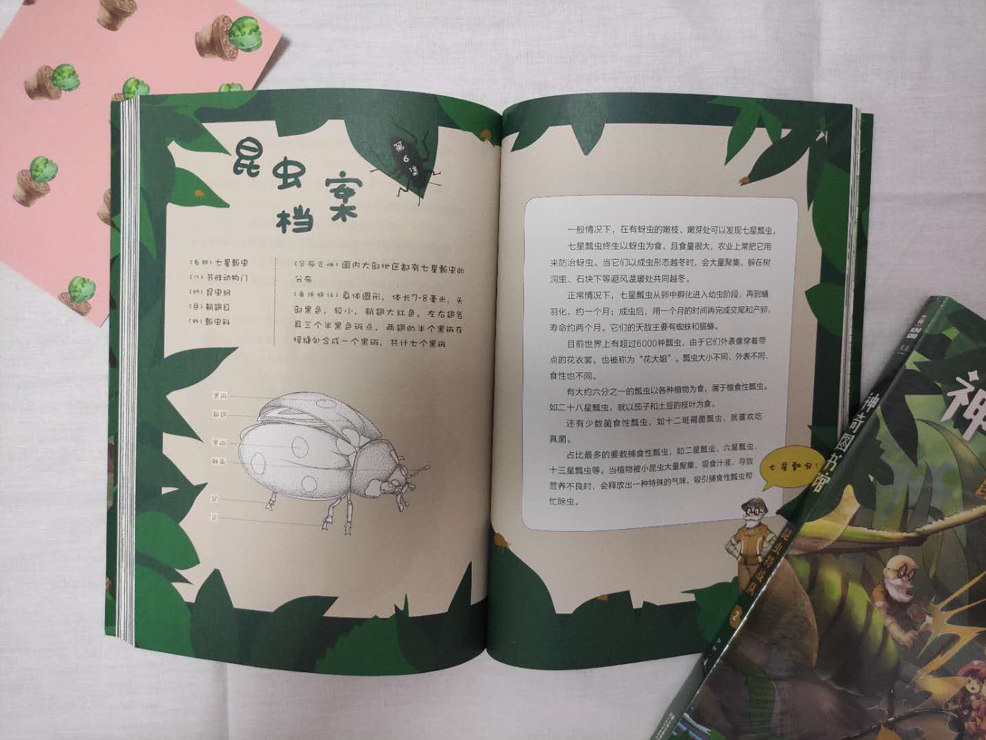 女童大改造,儿童学习空间改造