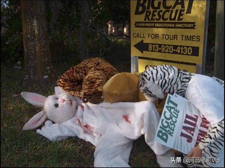 这部魔幻纪录片，在美国竟然比疫情还火！