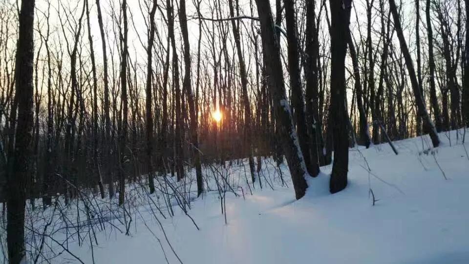 童年的回忆钢琴曲教学,童年的回忆