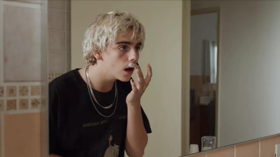 卢卡瓜达尼诺合作电影,卢卡瓜达尼诺电影风格