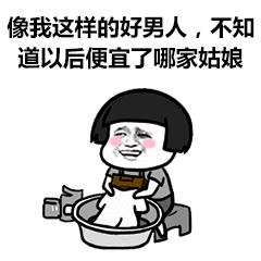 仓鼠要注意什么饮食,仓鼠饲养吃啥好养活一点