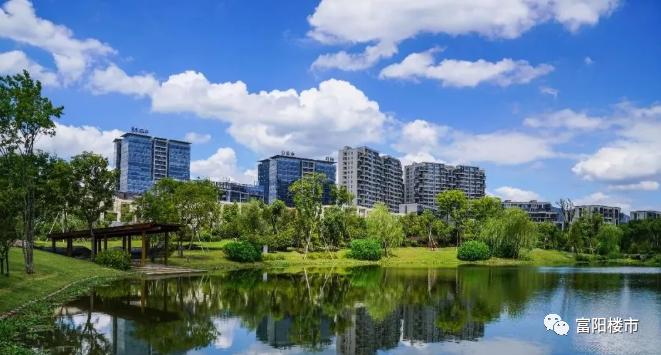 渼陂湖小学怎么样,阳陂湖小学有名校加持吗