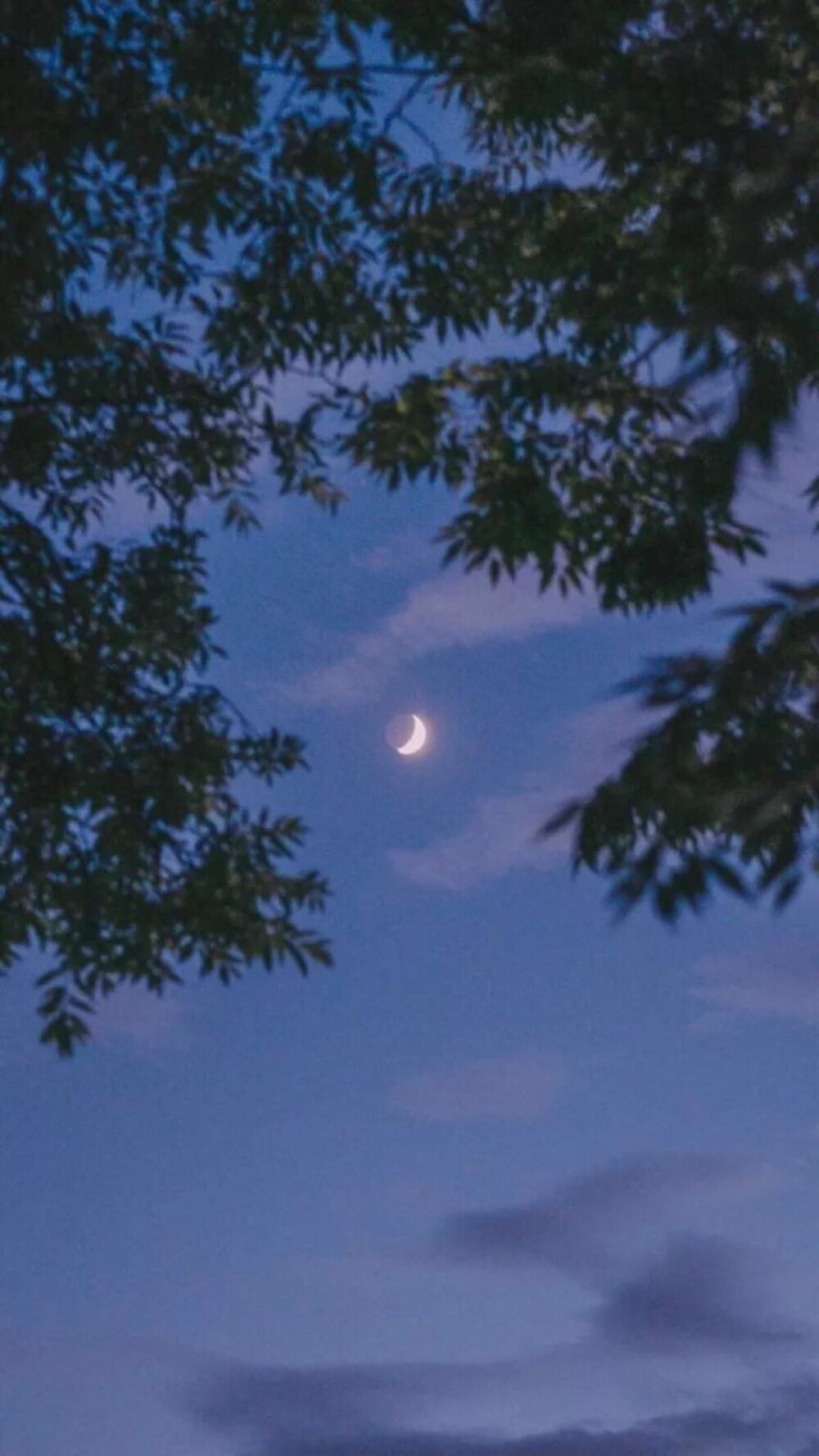 李白封神片段,李白的诗词有多牛半句可封神