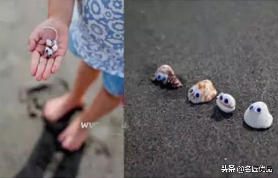 100种贝壳玩法图解,幼儿体智能贝壳的玩法