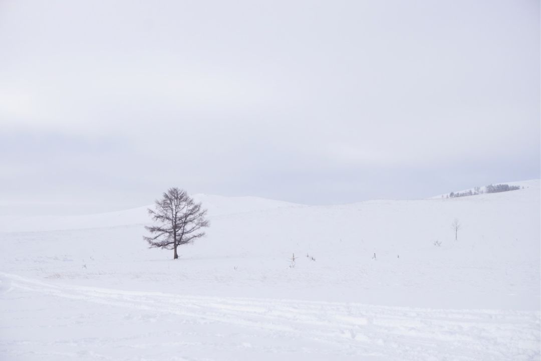 俄罗斯贝加尔湖8日游,游俄罗斯贝加尔湖