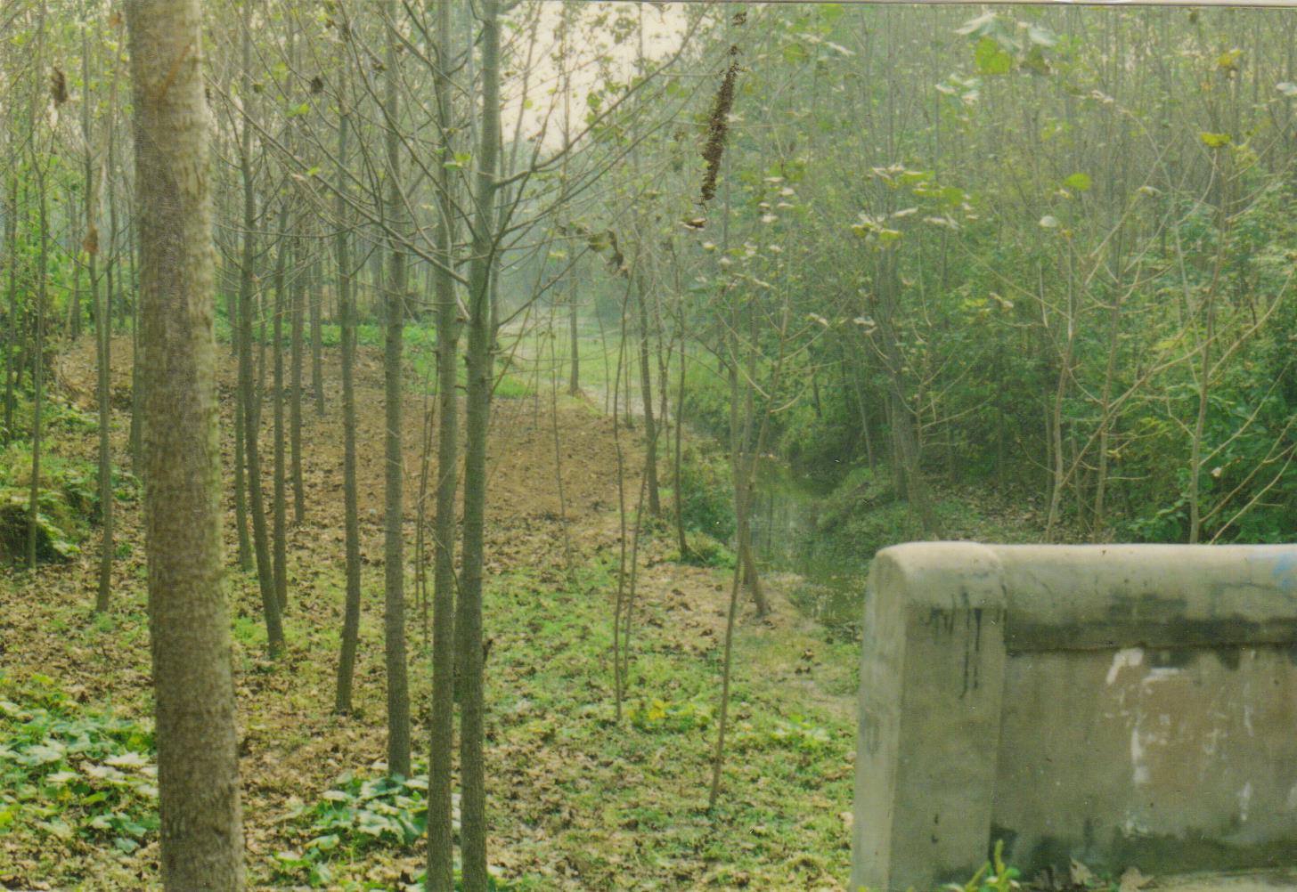 西平宋集淤泥河,西平淤泥河