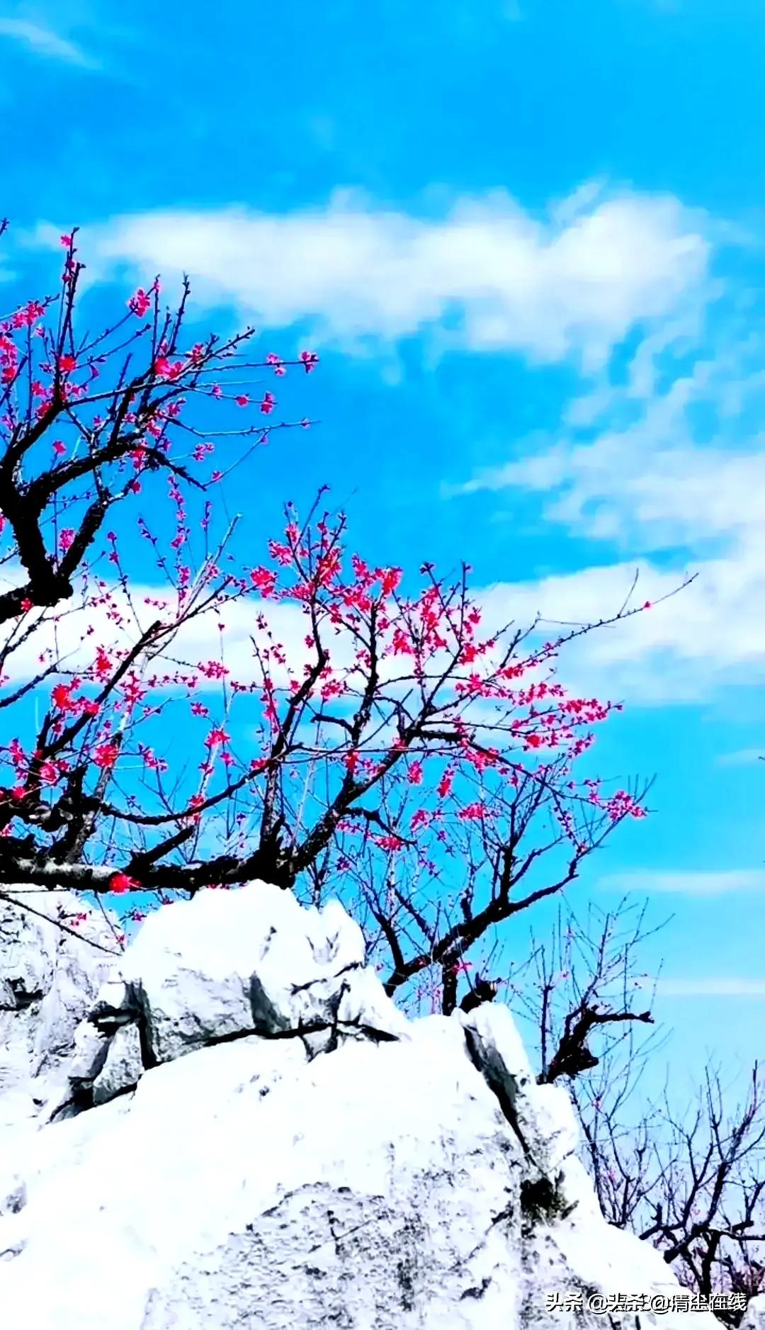 *访上**不当也会违法的（详解）