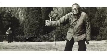 马未都谈被骂完整版,马未都调侃视频完整版