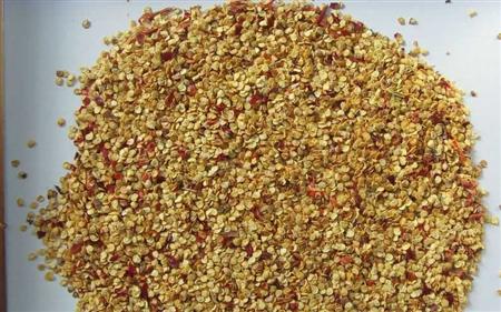 辣椒炭疽病你了解吗？高温天气易感染、传播快！防治措施在这里