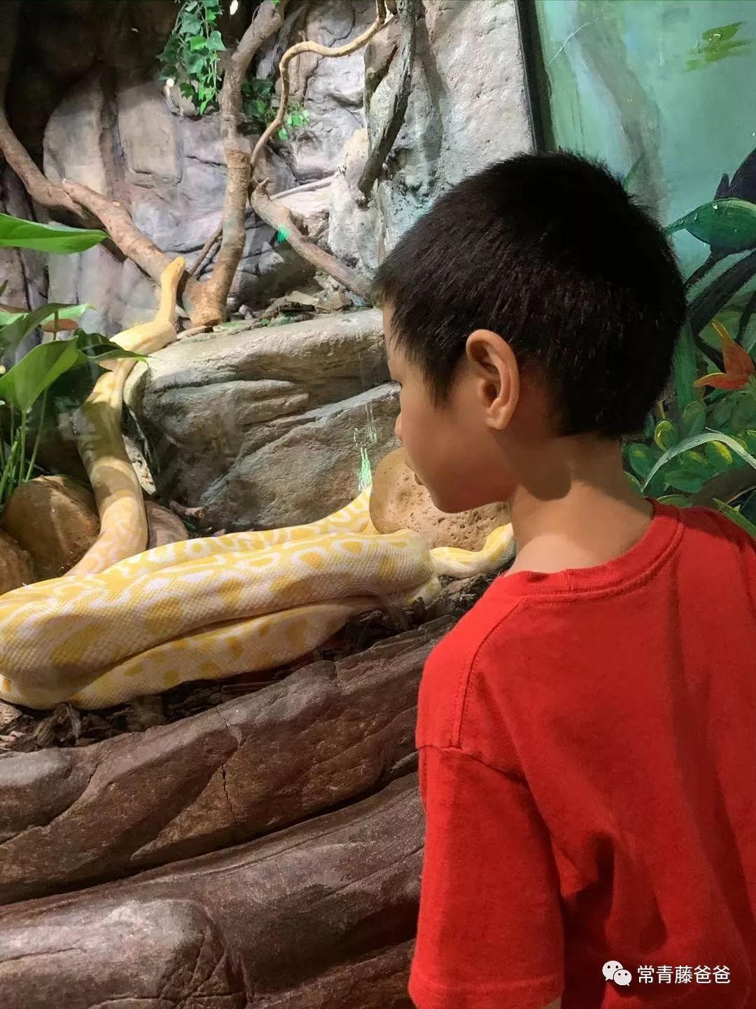 广州和珠海长隆一起玩攻略,广州珠海长隆旅游攻略5天四晚