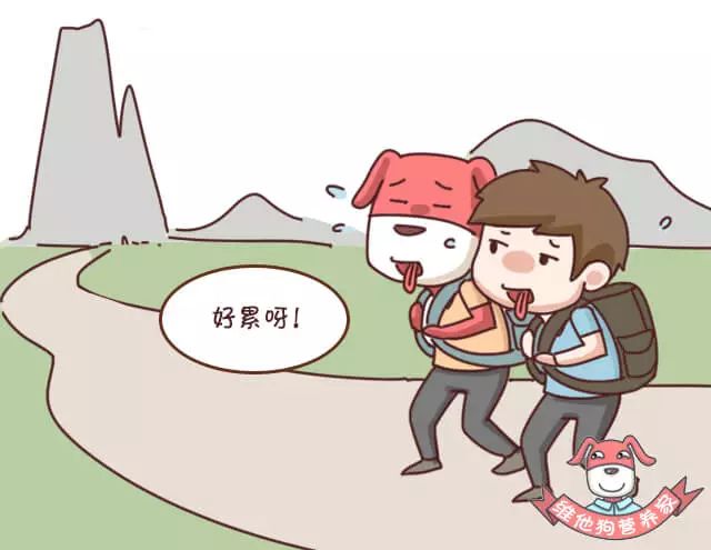 出远门失眠,出门出差便秘吃什么药才有效