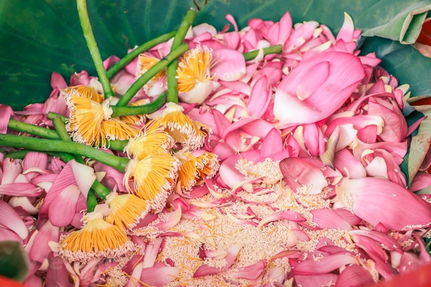 越南河内西湖风景区,越南西湖夜景图