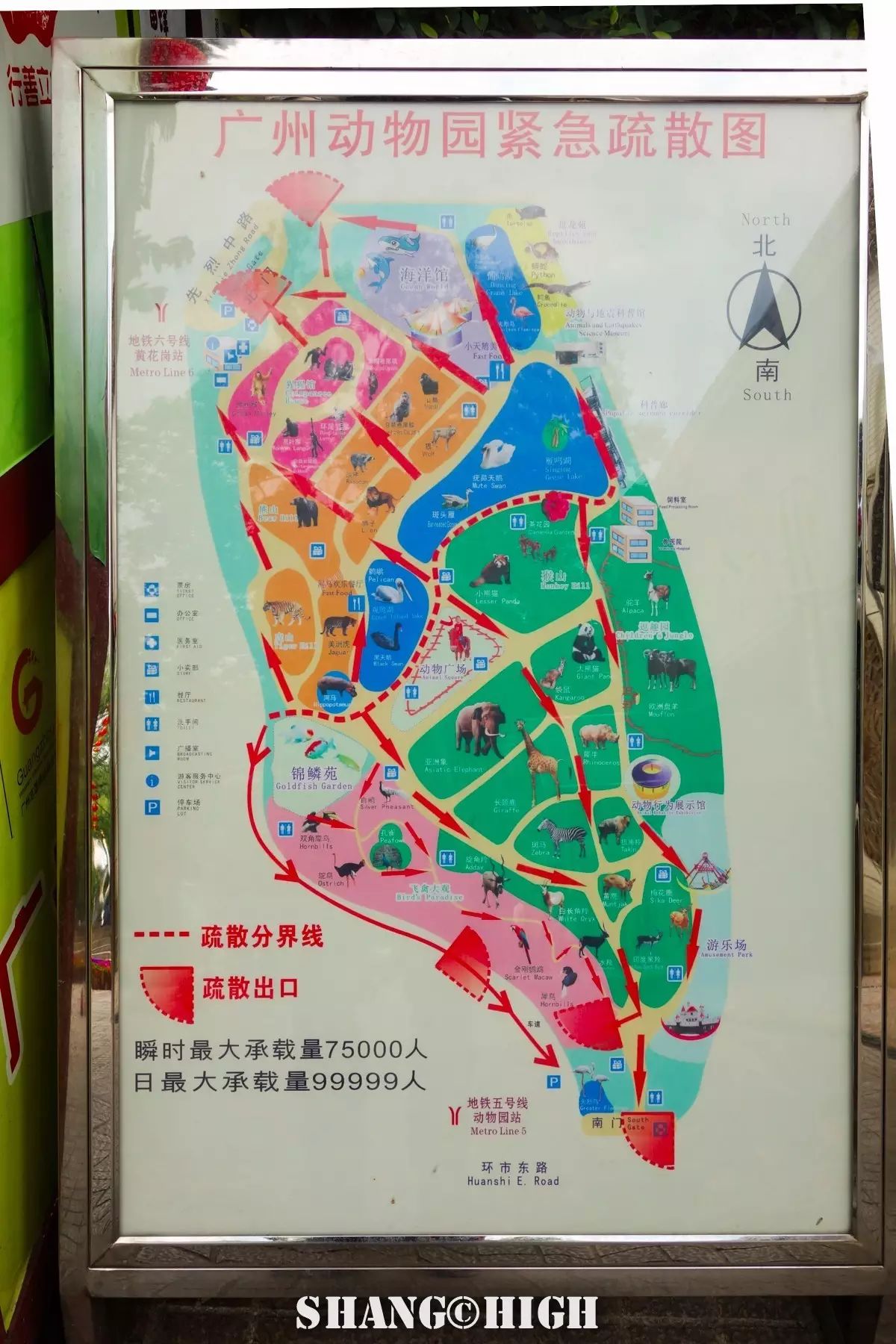 记者探访广州动物园,动物园观察动物