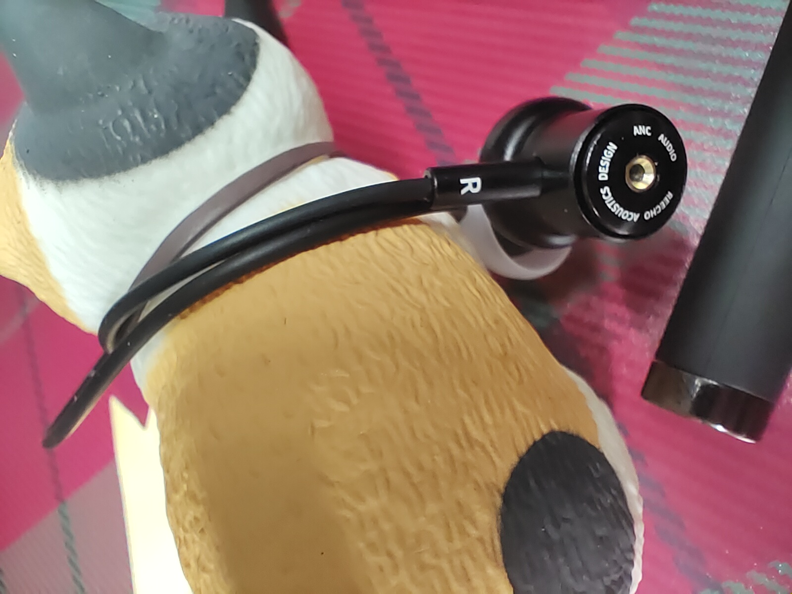 它可能是下一个耳机界的贫民英雄:REECHOR1测评