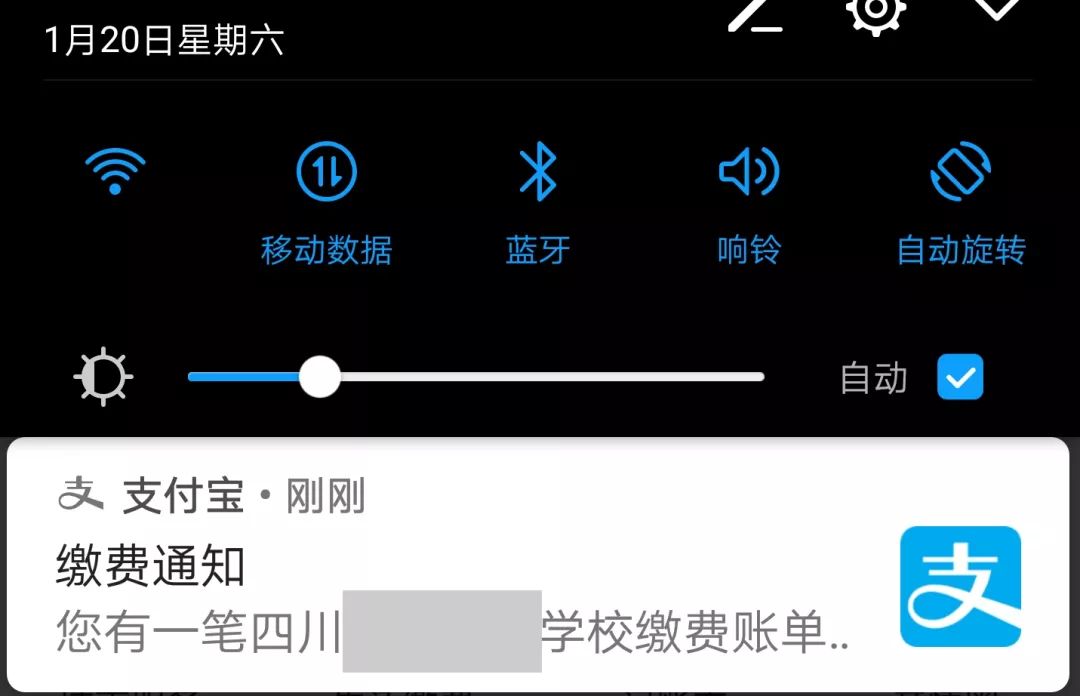 学校缴费支付宝怎么操作,孩子学费怎么在支付宝缴费