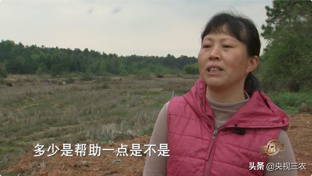 80后小伙返乡创业带着乡亲发羊财,95后小伙半年存款27万