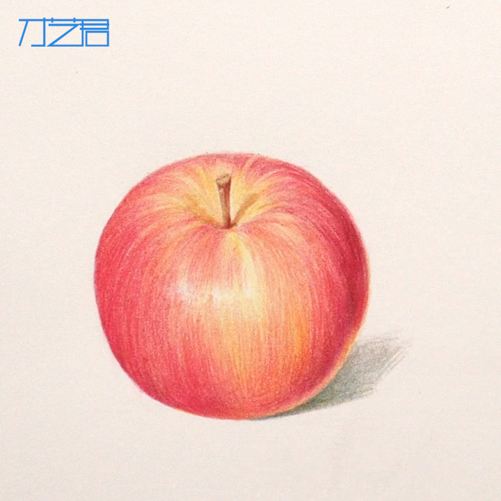 彩铅入门必学幼儿,彩铅画入门必学500例