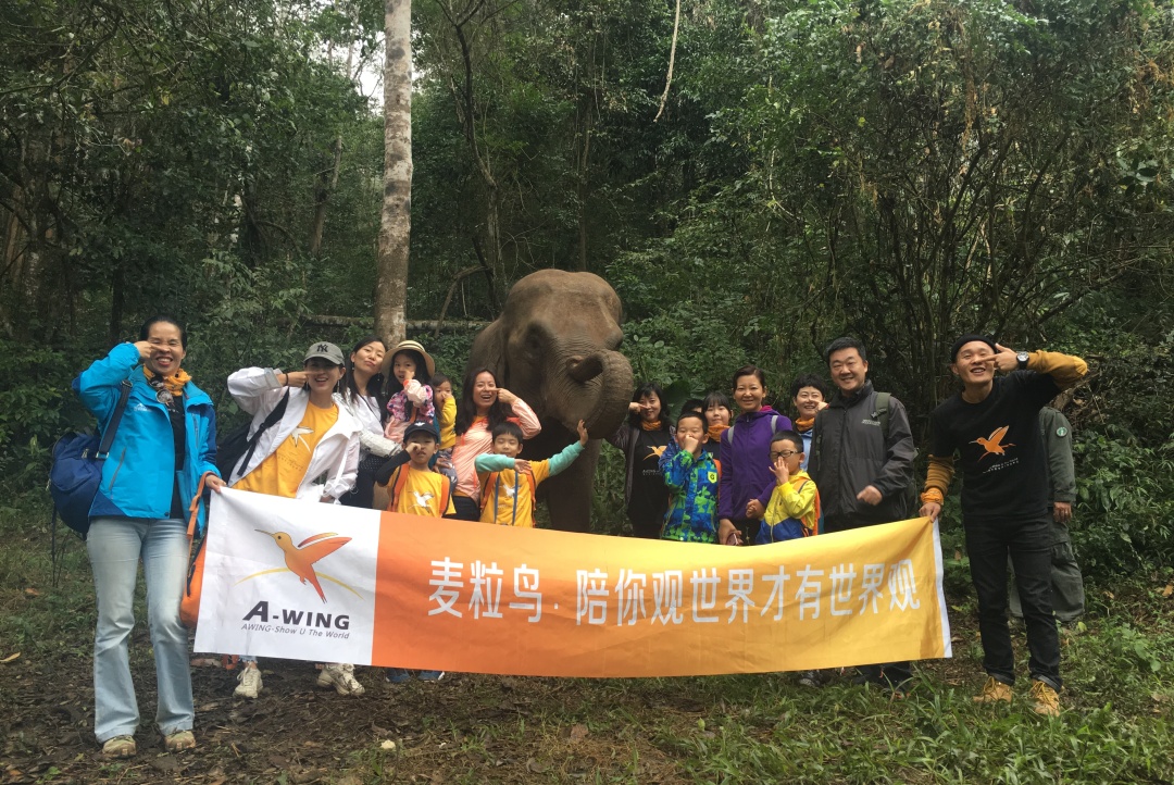 小学问｜集合啦！麦粒鸟教你搞对「象」啦！