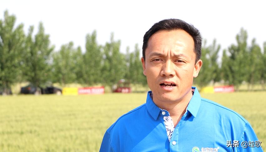 小麦用水溶肥提质增产,小麦防虫防病八合一高产水溶肥