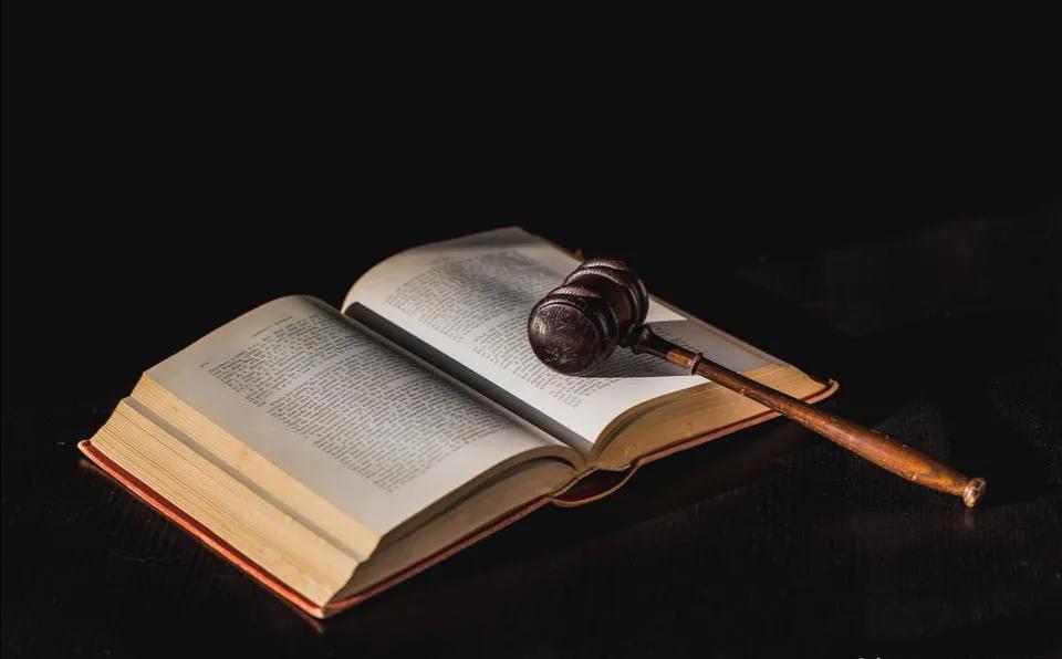 民法典有关于养狗的条款吗,养狗不牵绳犯法吗民法典明确了