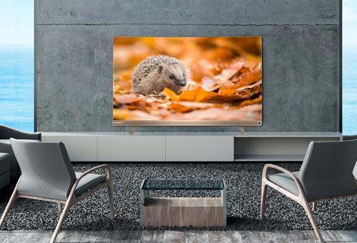 “当锦鲤,抢免单”12月8日海信超级品牌节开启