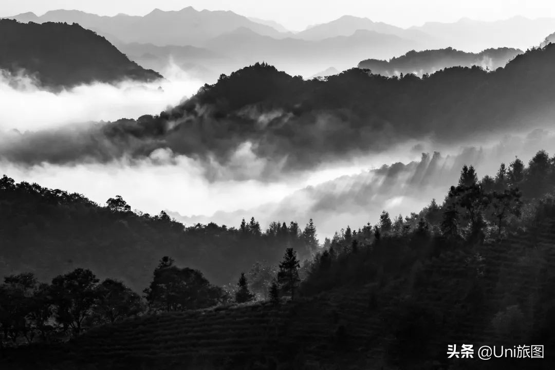 最幽静古韵江南唯美夜景风景,带你看夏日高原怡人的风景