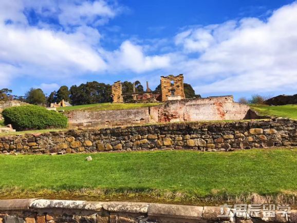 卧龙岗大学,卧龙岗大学介绍