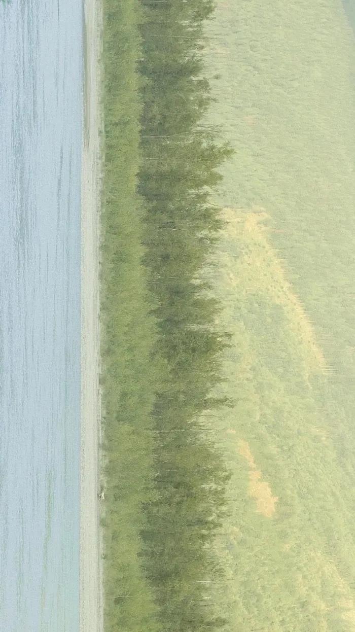 蚂蚁森林要多少步数兑换296能量,蚂蚁森林多少步数才是296g