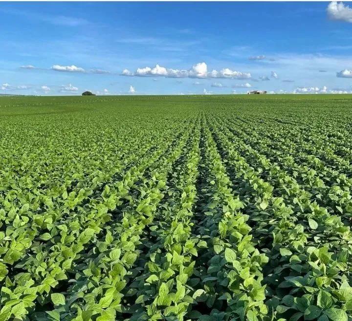 用钱去做农业会怎样,去农村搞种植业投资怎样做最好