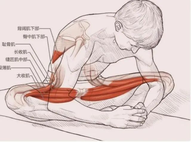 拜拜肉大腿肉怎么减最有效,大腿上的拜拜肉怎么快速减掉